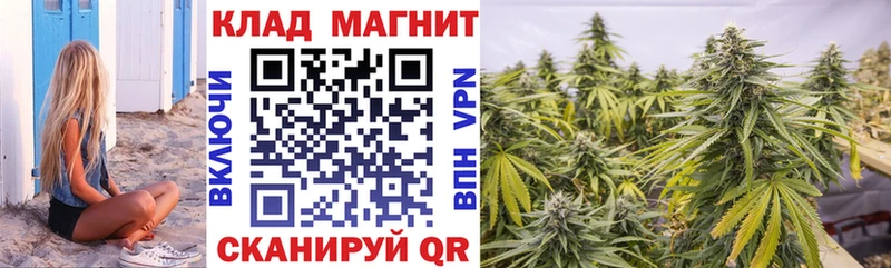 Магазины продажи наркотиков Снежногорск АМФЕТАМИН  Мефедрон  ГАШ  Бошки Шишки  Cocaine 