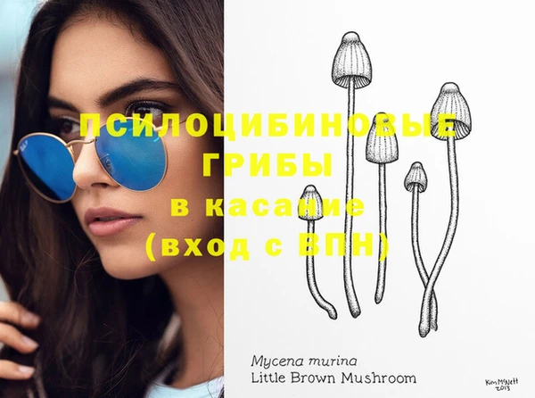 эйфоретик Баксан