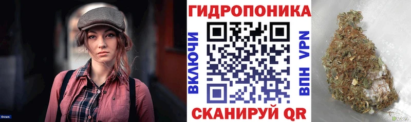 Шишки марихуана конопля  наркошоп  Снежногорск 